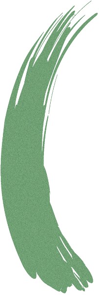 Play Up Hair Mascara vert 