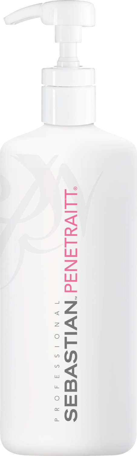 Sebastian Penetraitt Masque 500 ml 