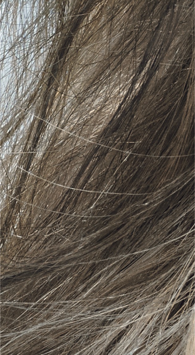  Goldwell Colorance 8CA Cool Cendre 120 ml 