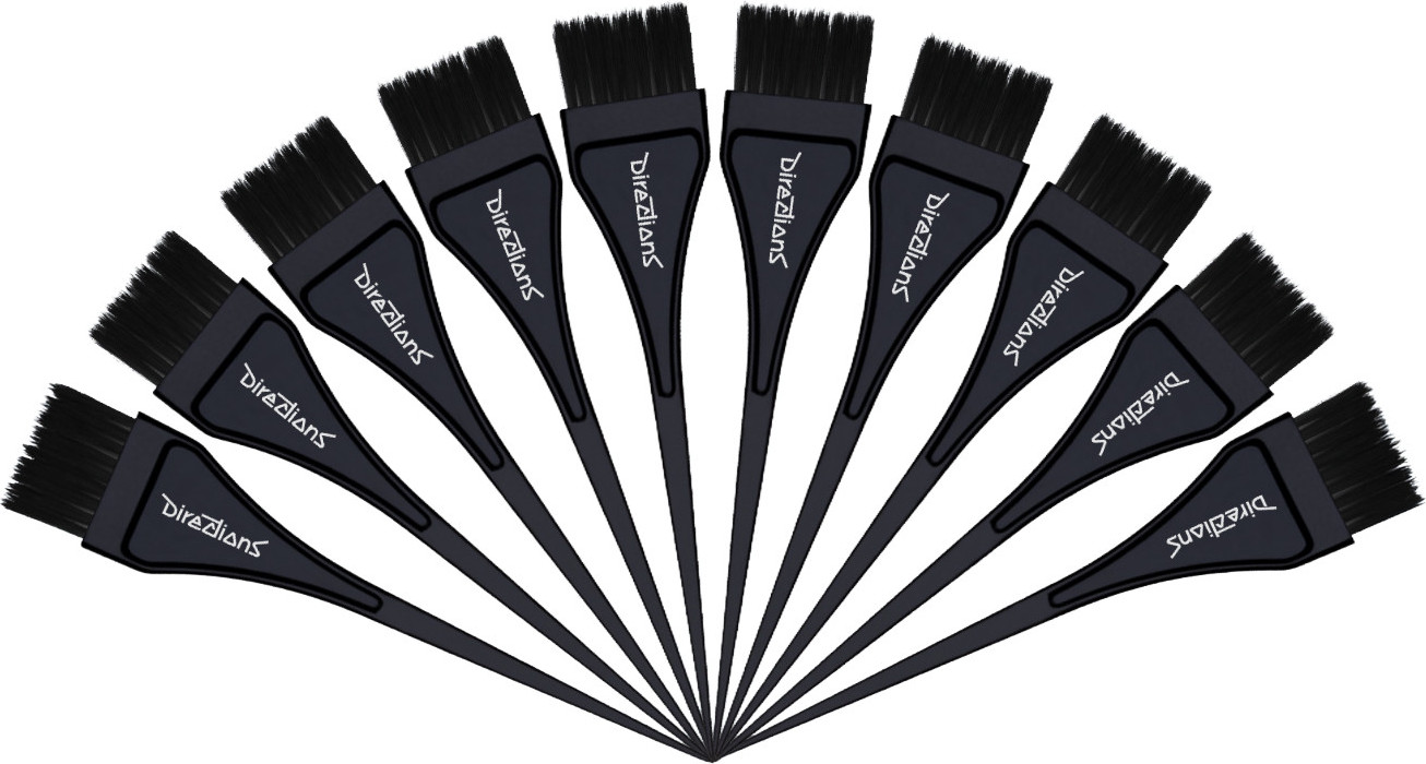  Directions Lot de 10 Pinceaux de Coloration 