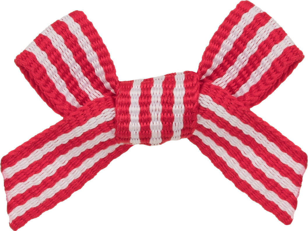  invisibobble MyClaw Wildflower Juicy Charms 